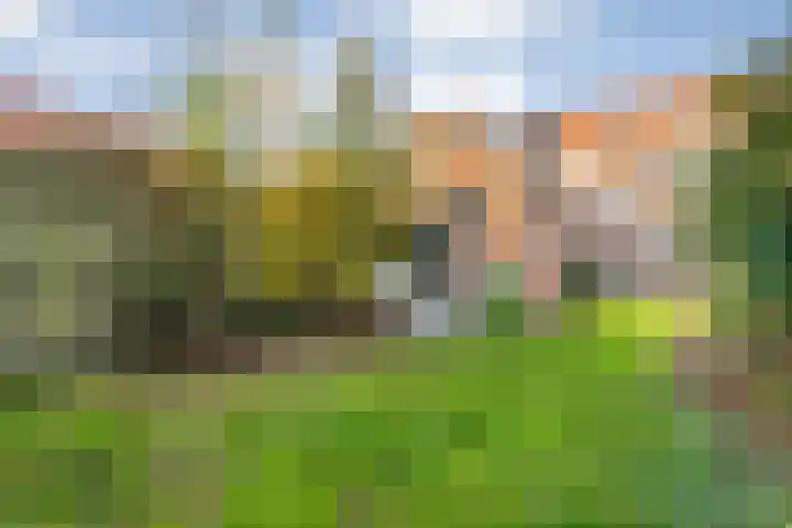 Gagelsweg 50 Steenwijk thumbnail 29