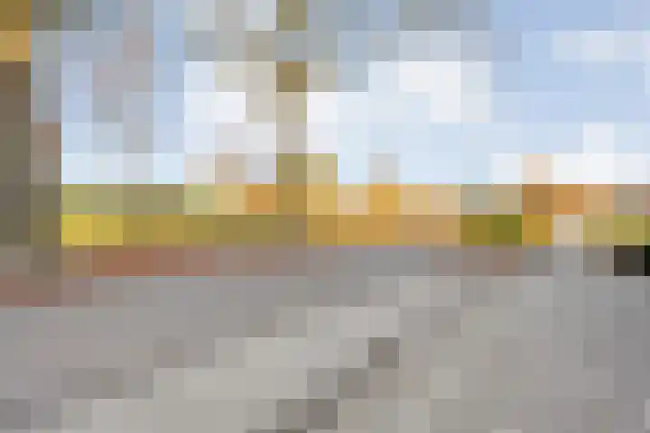 Gagelsweg 50 Steenwijk thumbnail 30