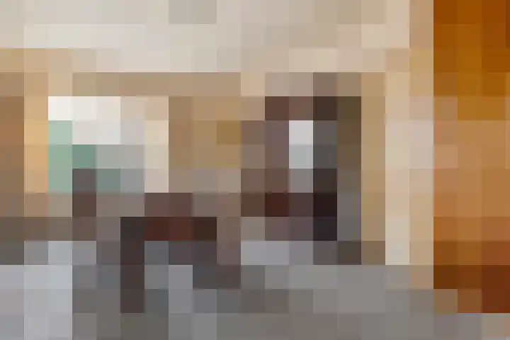 Gagelsweg 50 Steenwijk thumbnail 7