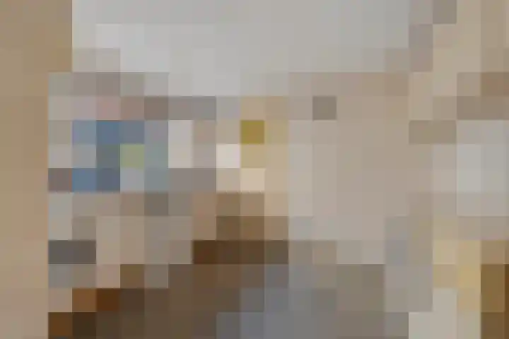 Gagelsweg 50 Steenwijk thumbnail 9