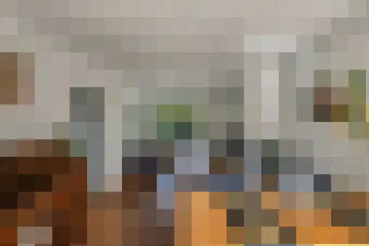 Gagelsweg 8 Steenwijk thumbnail 10