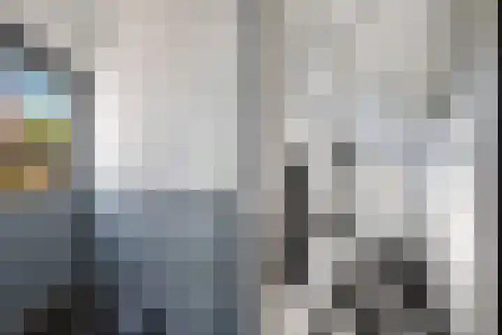 Gagelsweg 8 Steenwijk thumbnail 15