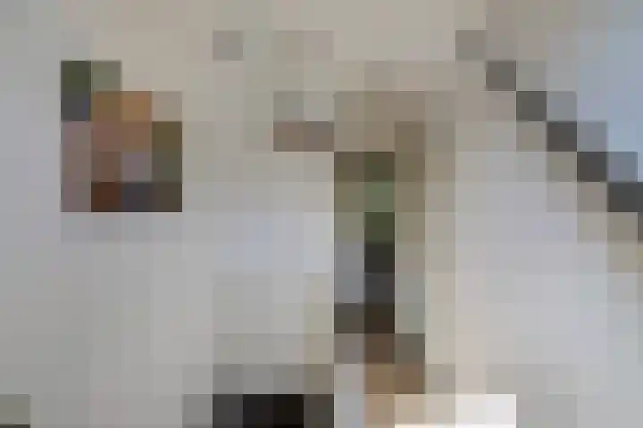 Gagelsweg 8 Steenwijk thumbnail 16