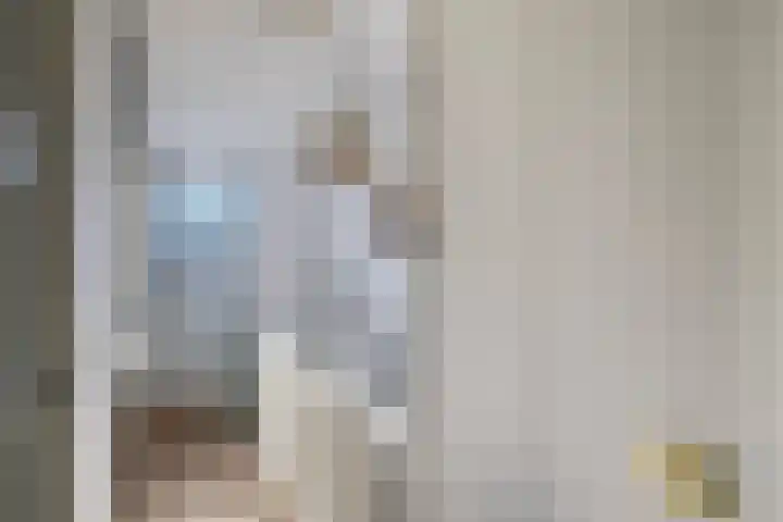 Gagelsweg 8 Steenwijk thumbnail 17