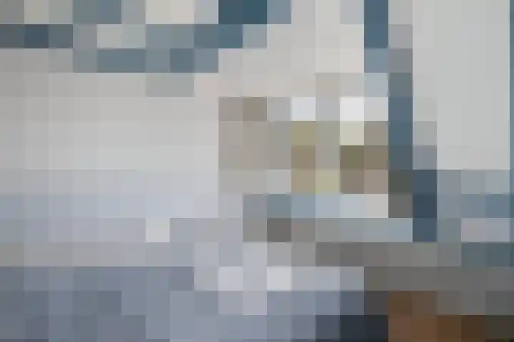 Gagelsweg 8 Steenwijk thumbnail 18