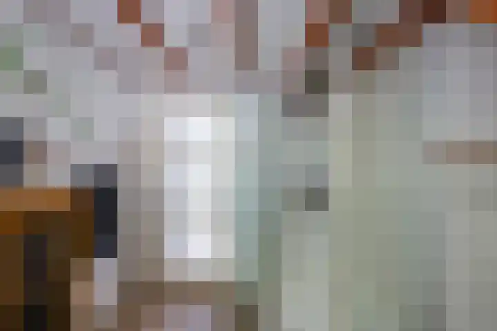 Gagelsweg 8 Steenwijk thumbnail 23
