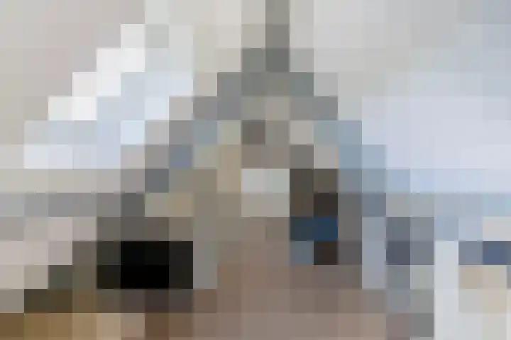 Gagelsweg 8 Steenwijk thumbnail 27
