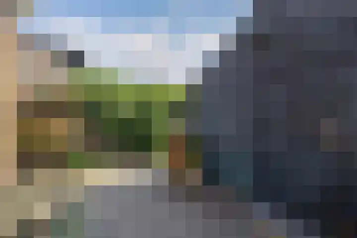 Gagelsweg 8 Steenwijk thumbnail 29