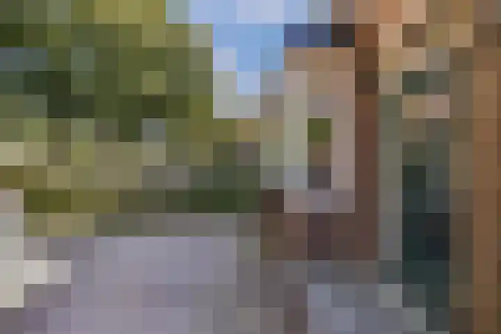 Gagelsweg 8 Steenwijk foto 3
