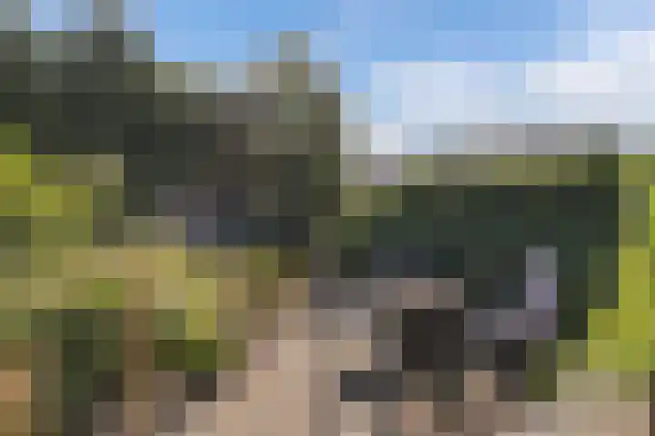 Gagelsweg 8 Steenwijk thumbnail 34