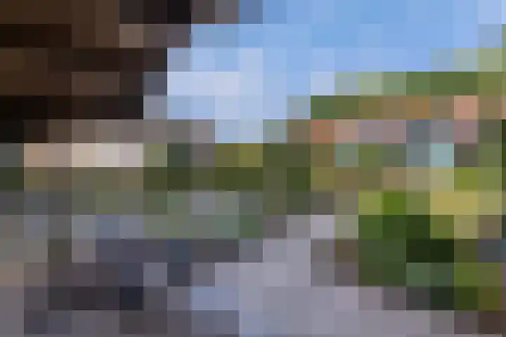 Gagelsweg 8 Steenwijk thumbnail 35