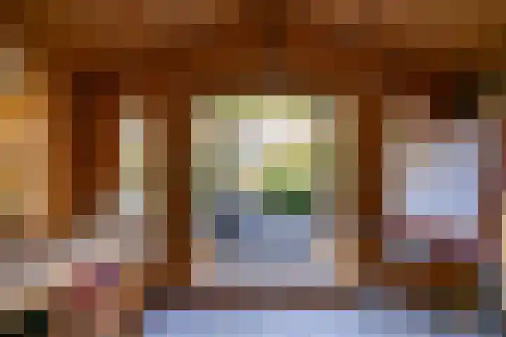 Gagelsweg 8 Steenwijk thumbnail 37