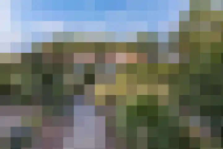 Gagelsweg 8 Steenwijk thumbnail 38