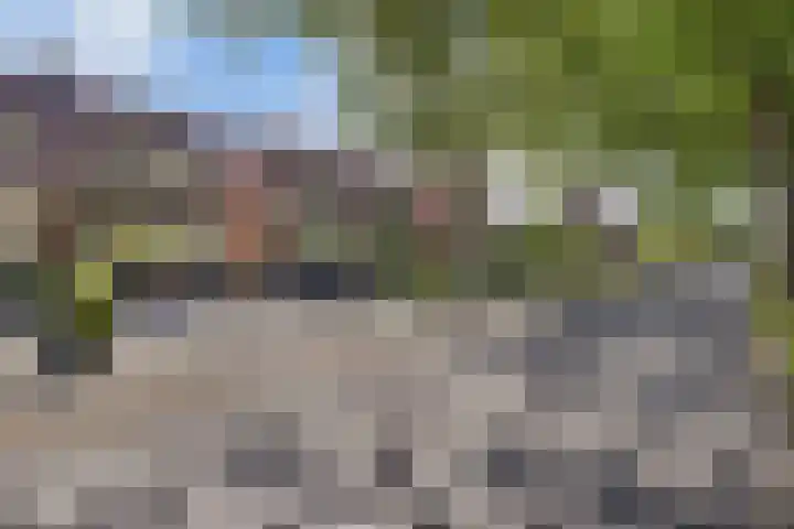 Gagelsweg 8 Steenwijk thumbnail 39