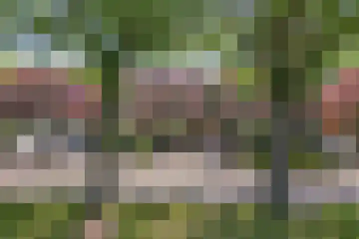Gagelsweg 8 Steenwijk thumbnail 40