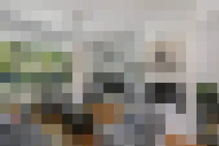 Gagelsweg 8 Steenwijk thumbnail 5