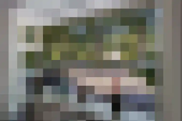 Gagelsweg 8 Steenwijk thumbnail 6