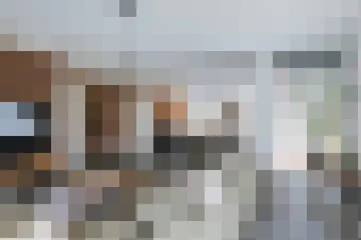 Gagelveld 10 Reusel thumbnail 15