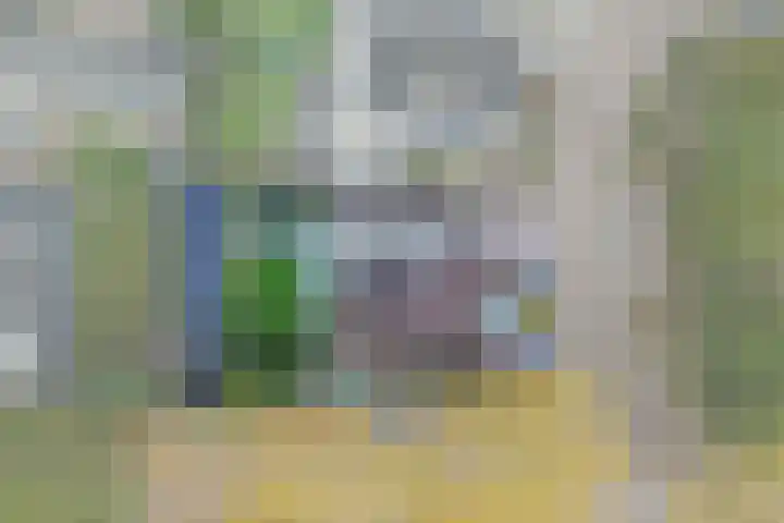 Gagelveld 10 Reusel thumbnail 57