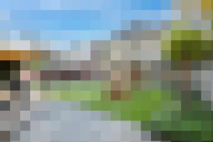 Gagelveld 10 Reusel thumbnail 63