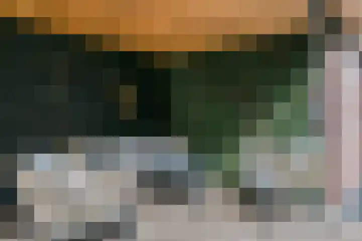 Gagelveld 10 Reusel thumbnail 65