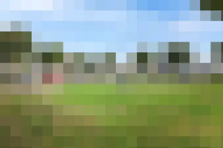Gagelveld 10 Reusel thumbnail 69