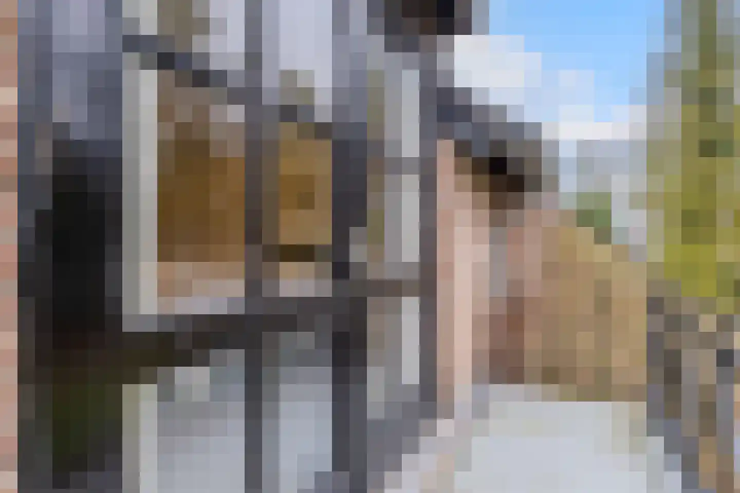 Gagelveld 19 Milsbeek thumbnail 28