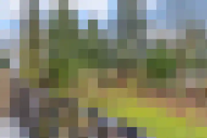 Gagelveld 19 Milsbeek thumbnail 29