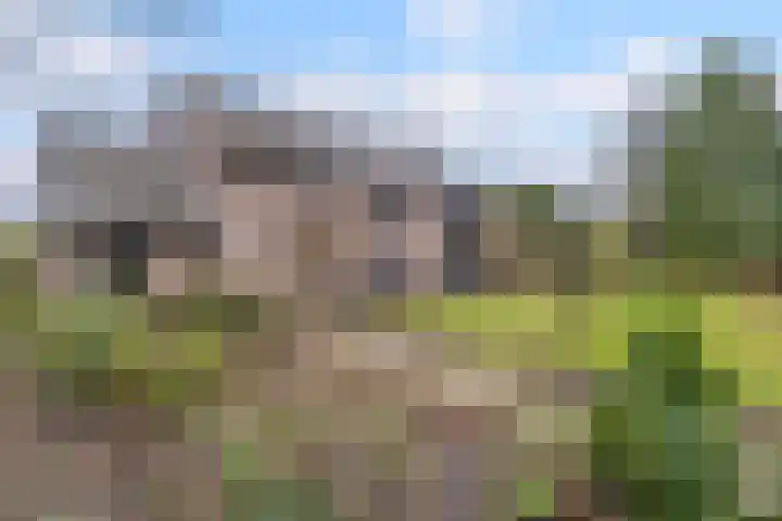 Gagelveld 19 Milsbeek thumbnail 49