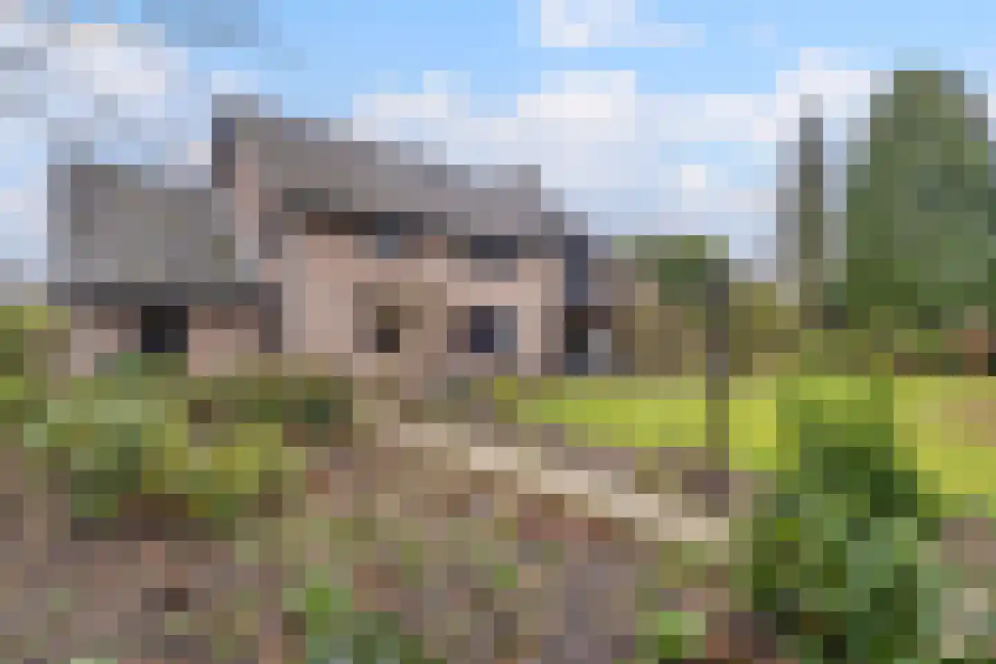 Gagelveld 19 Milsbeek thumbnail 49