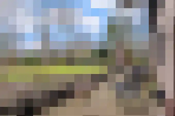 Gagelveld 19 Milsbeek thumbnail 50
