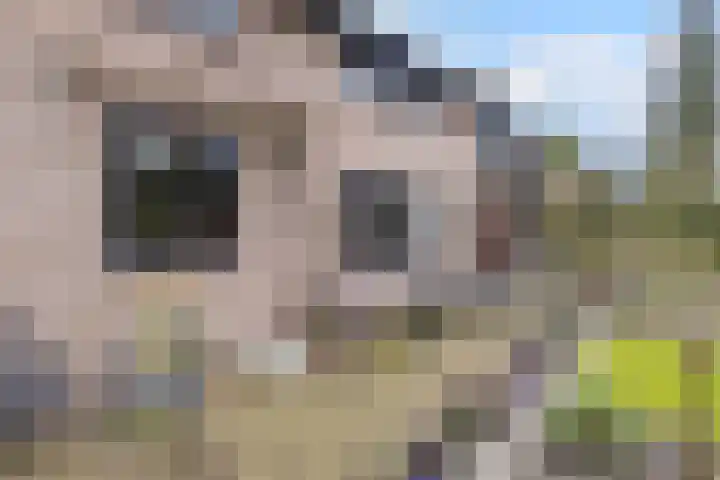 Gagelveld 19 Milsbeek thumbnail 51