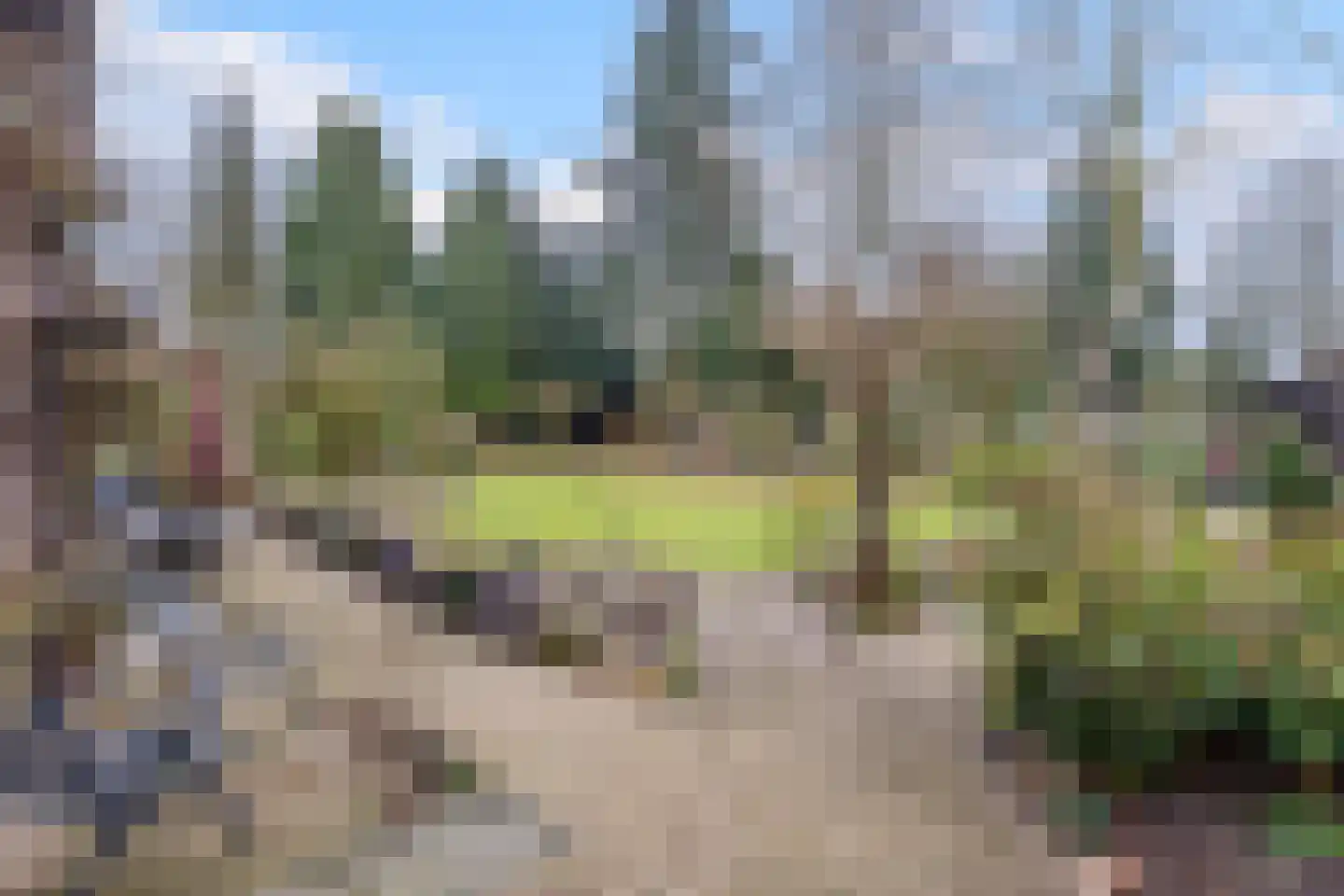 Gagelveld 19 Milsbeek thumbnail 52