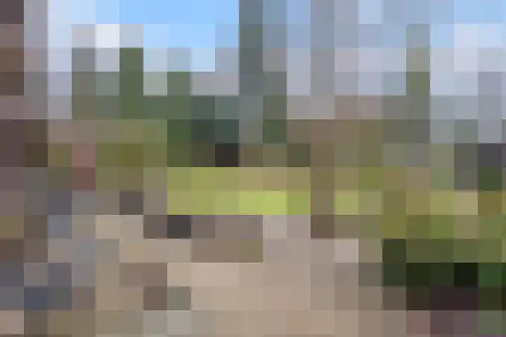 Gagelveld 19 Milsbeek thumbnail 52