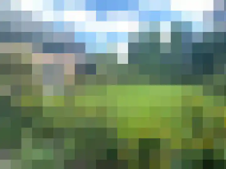 Gagelveld 19 Milsbeek thumbnail 53