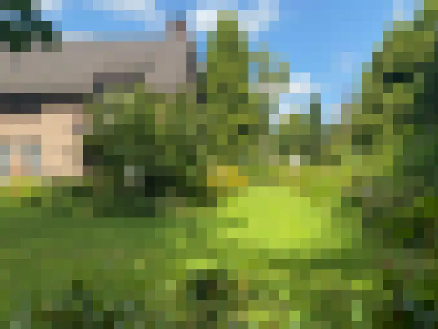 Gagelveld 19 Milsbeek thumbnail 54