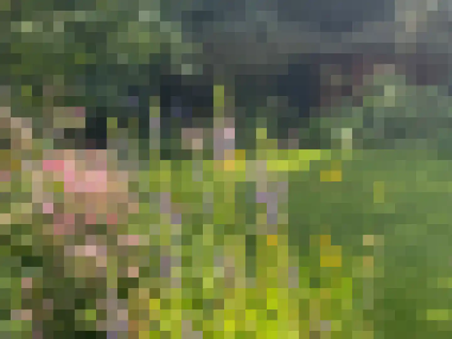 Gagelveld 19 Milsbeek thumbnail 57