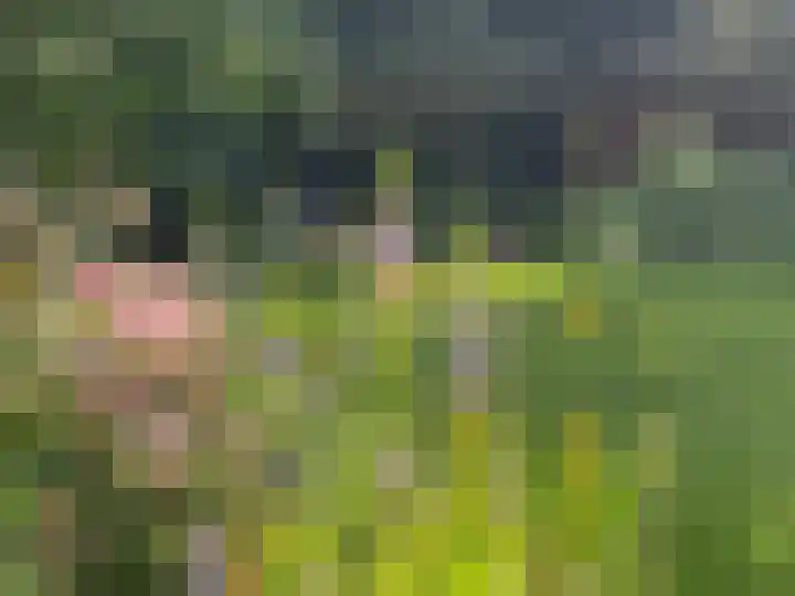 Gagelveld 19 Milsbeek thumbnail 57