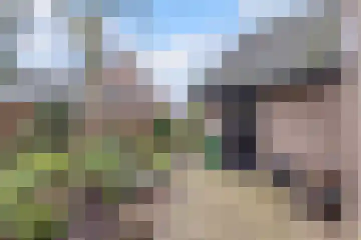 Gagelveld 19 Milsbeek thumbnail 59