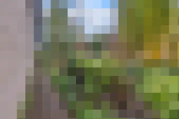Gagelveld 19 Milsbeek thumbnail 60