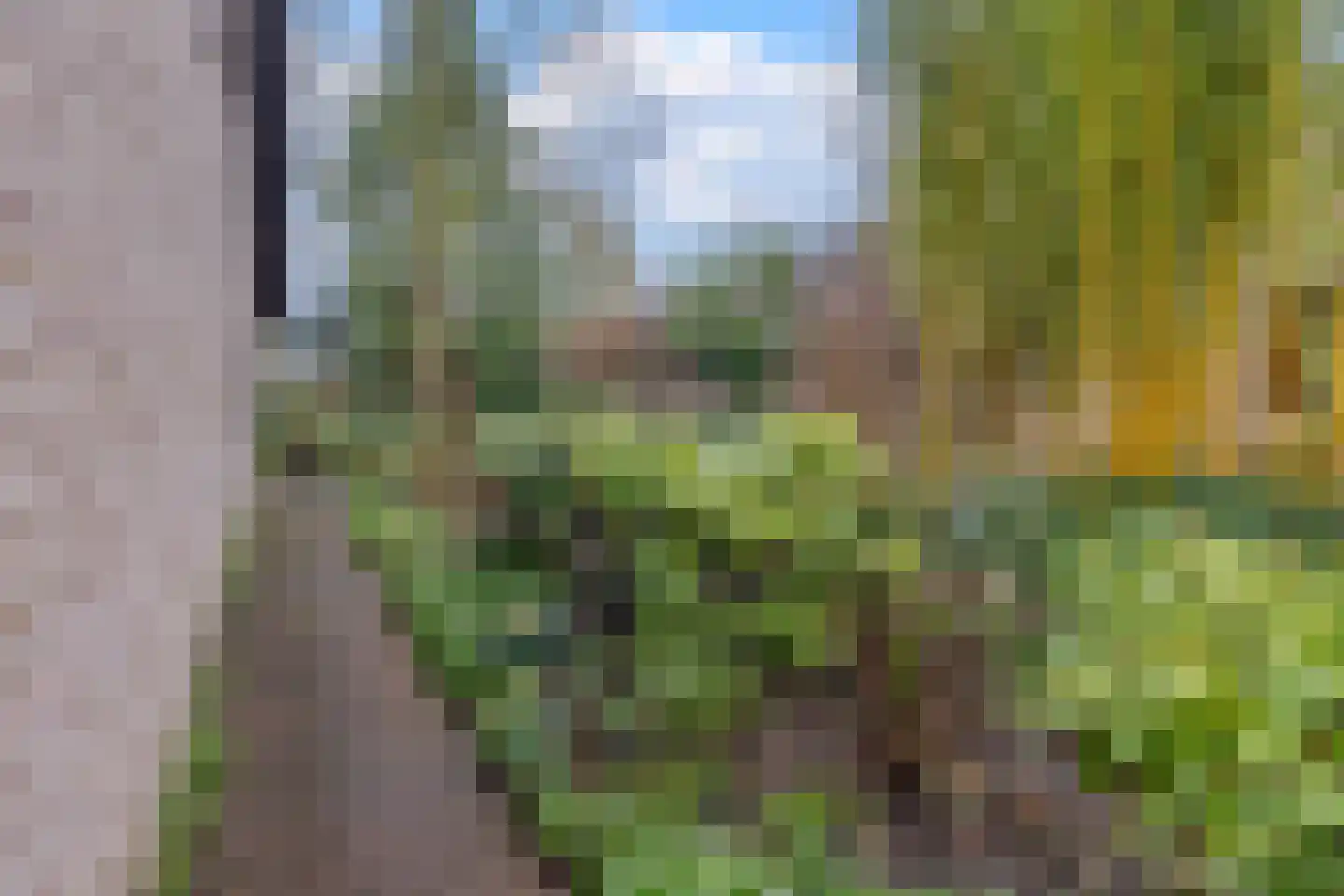 Gagelveld 19 Milsbeek thumbnail 60