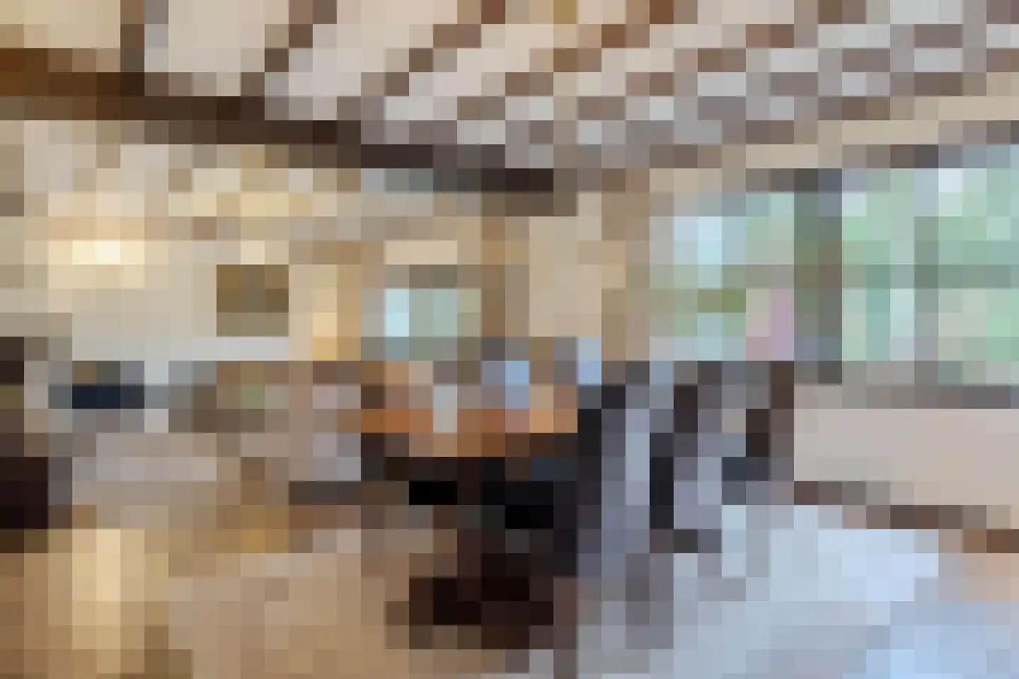 Gagelveld 19 Milsbeek thumbnail 8