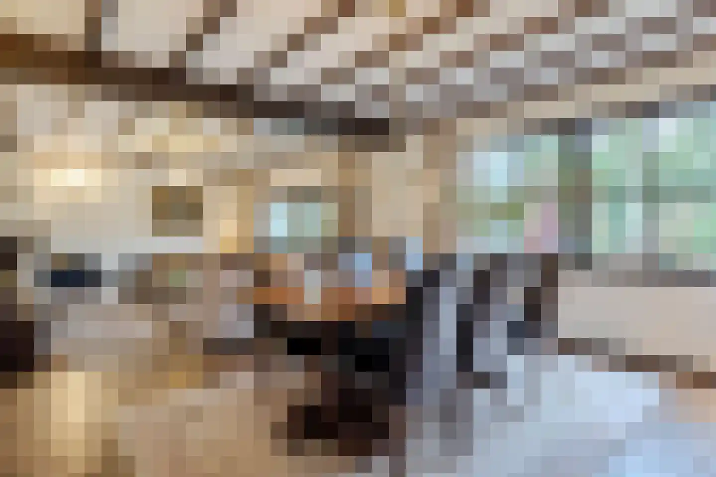 Gagelveld 19 Milsbeek thumbnail 8