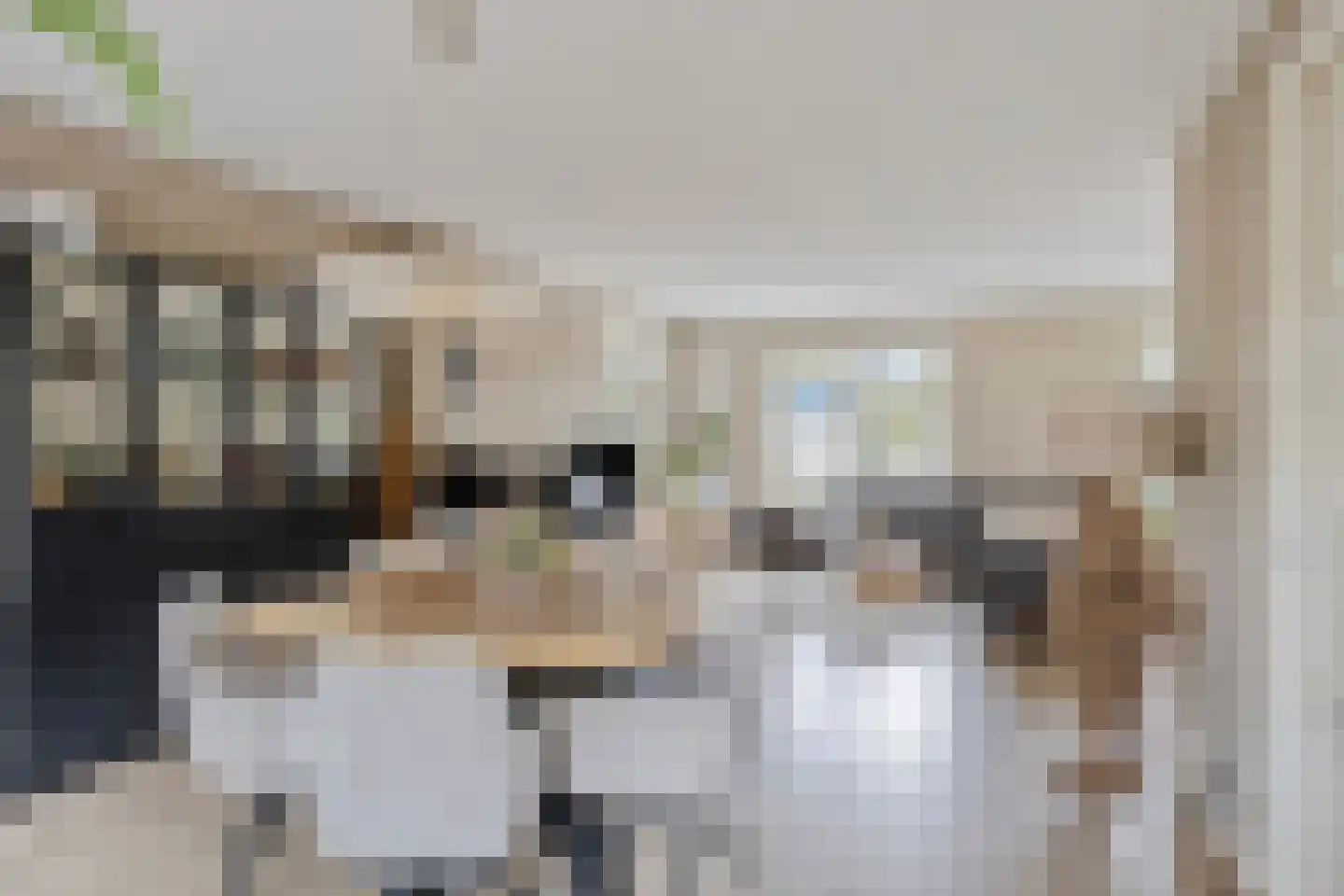Gagelvenseweg 15 Wijchen thumbnail 11