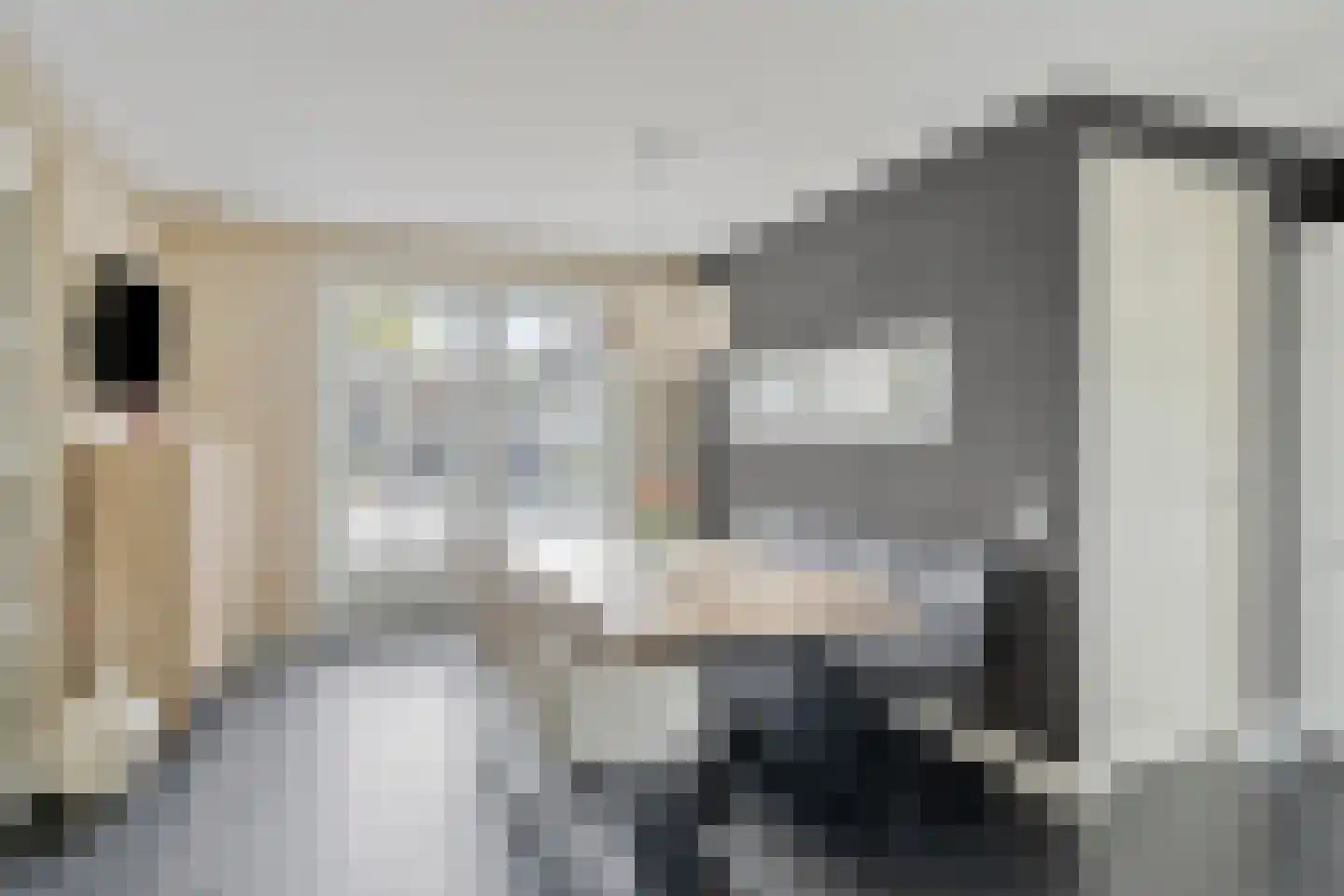 Gagelvenseweg 15 Wijchen thumbnail 13