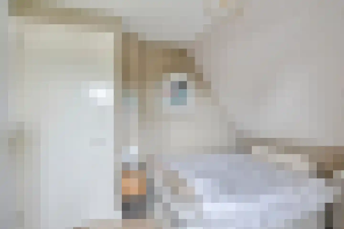 Gagelvenseweg 15 Wijchen thumbnail 31