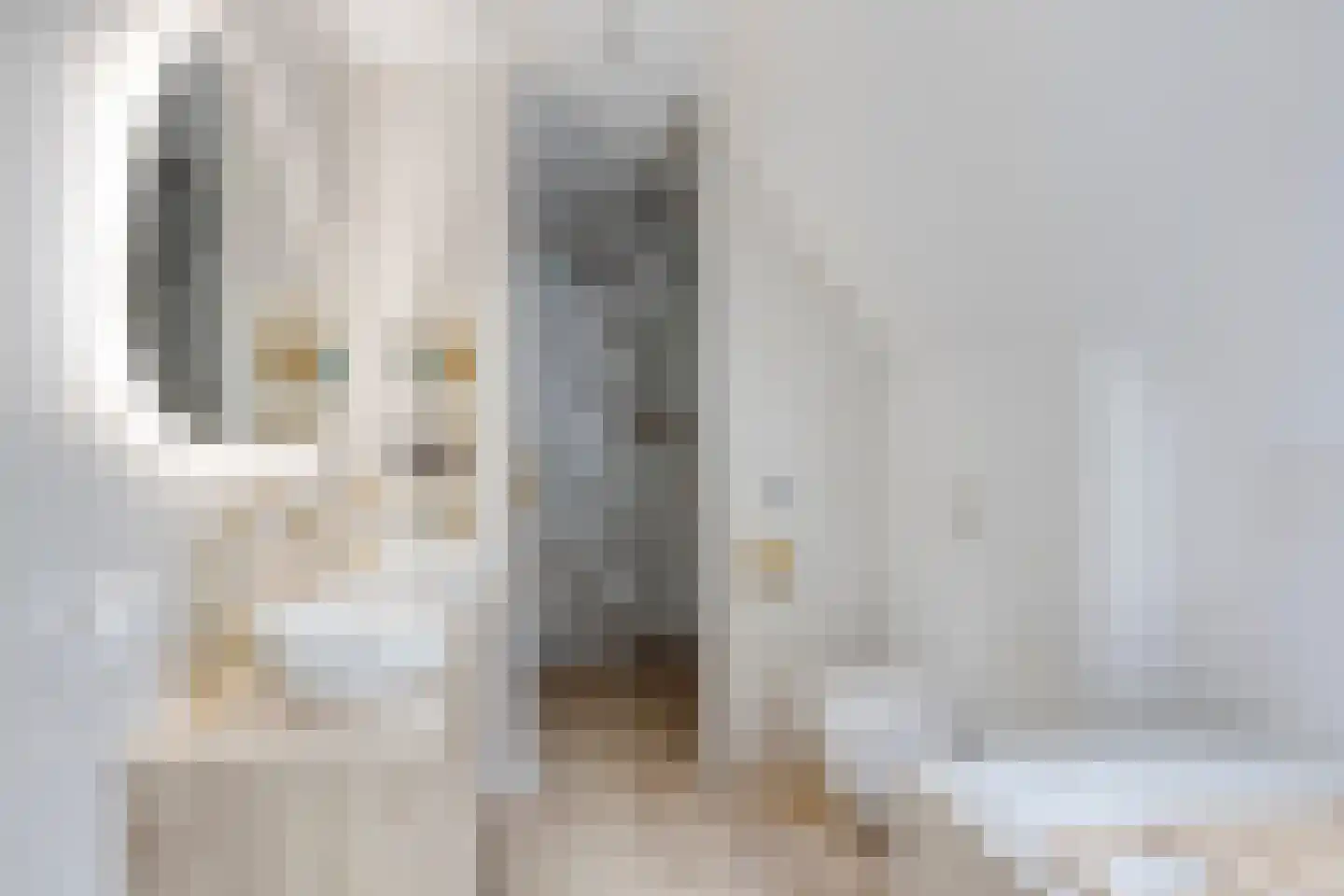 Gagelvenseweg 15 Wijchen thumbnail 34