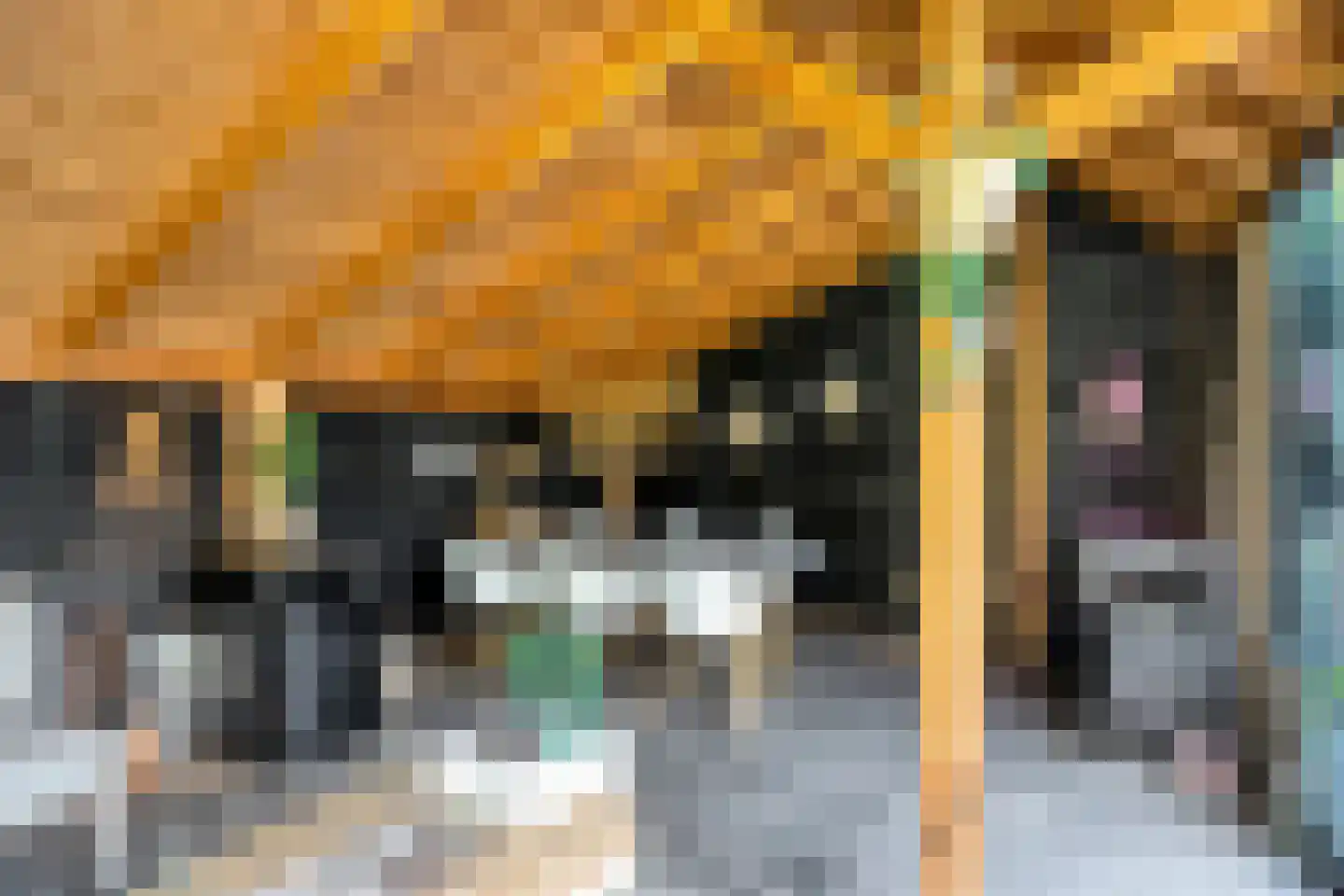 Gagelvenseweg 15 Wijchen thumbnail 46