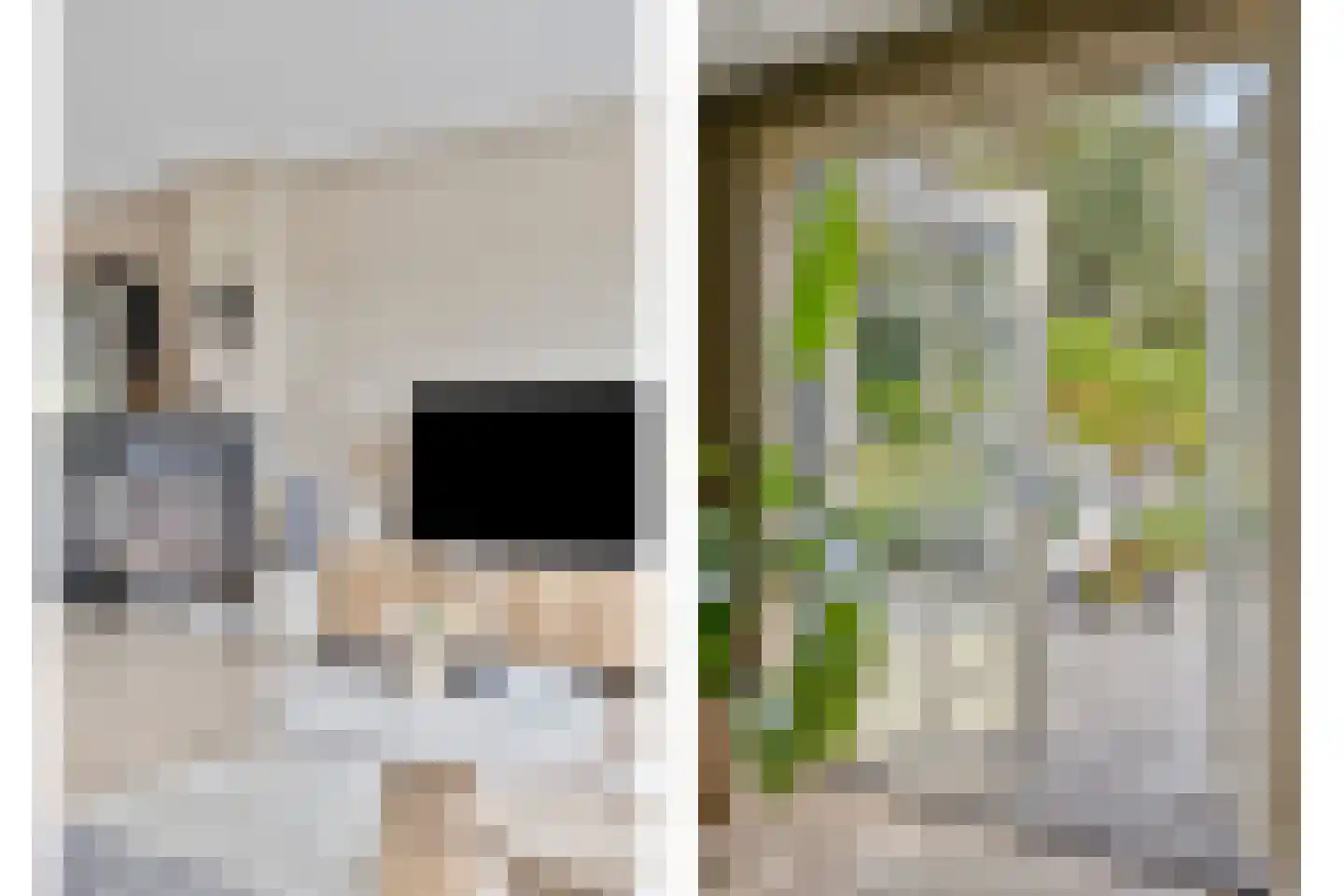 Gagelvenseweg 15 Wijchen thumbnail 7