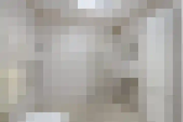 Gagelweg 2 Halsteren thumbnail 18